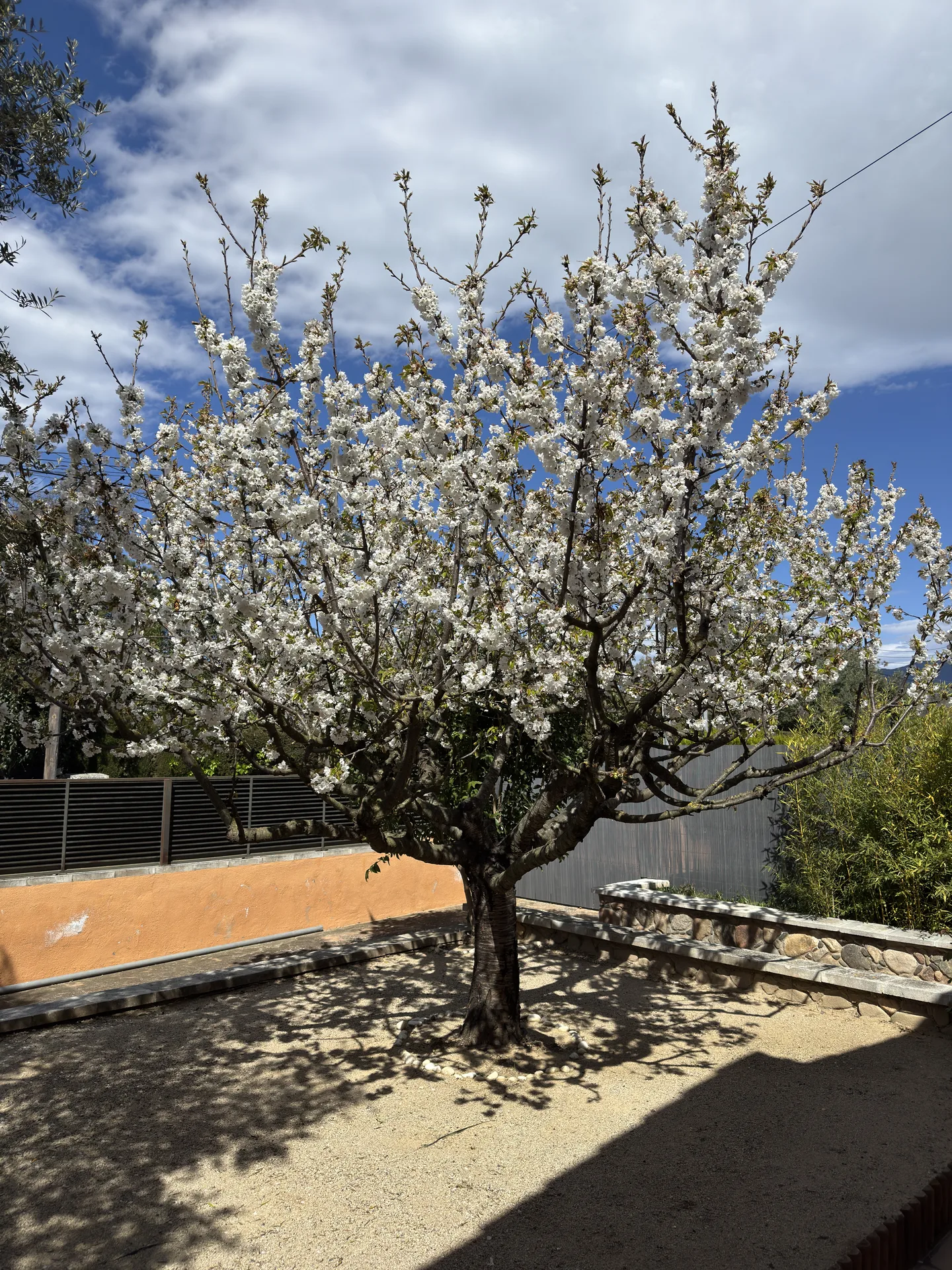 Casa Martina - exterior 01