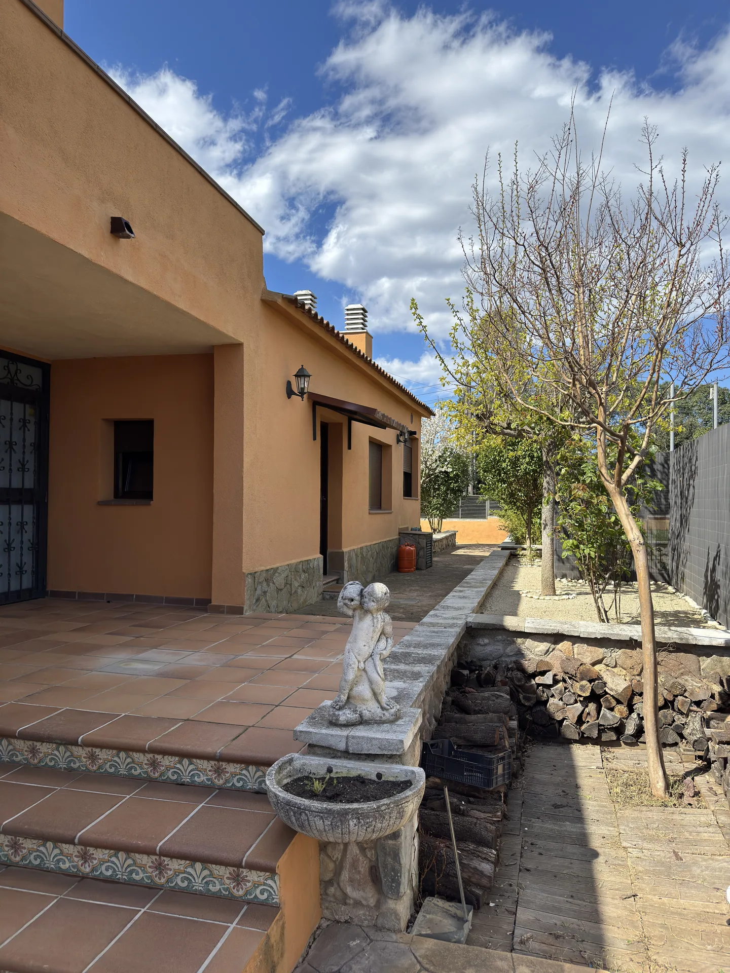 Vista de la casa des de la piscina